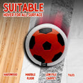 Indoor Food Ball Toy