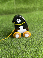 Animal Traction Pull Toy