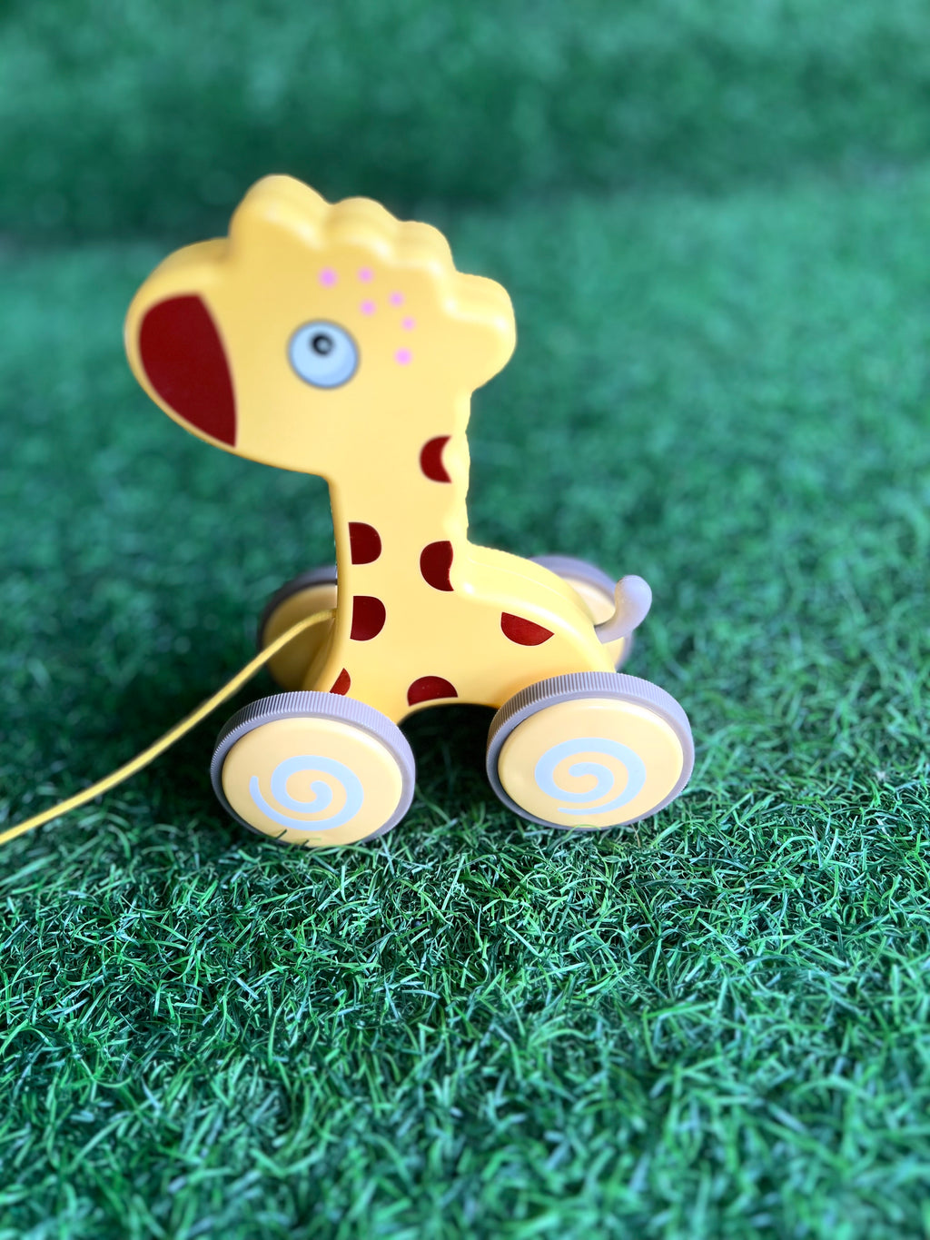Animal Traction Pull Toy