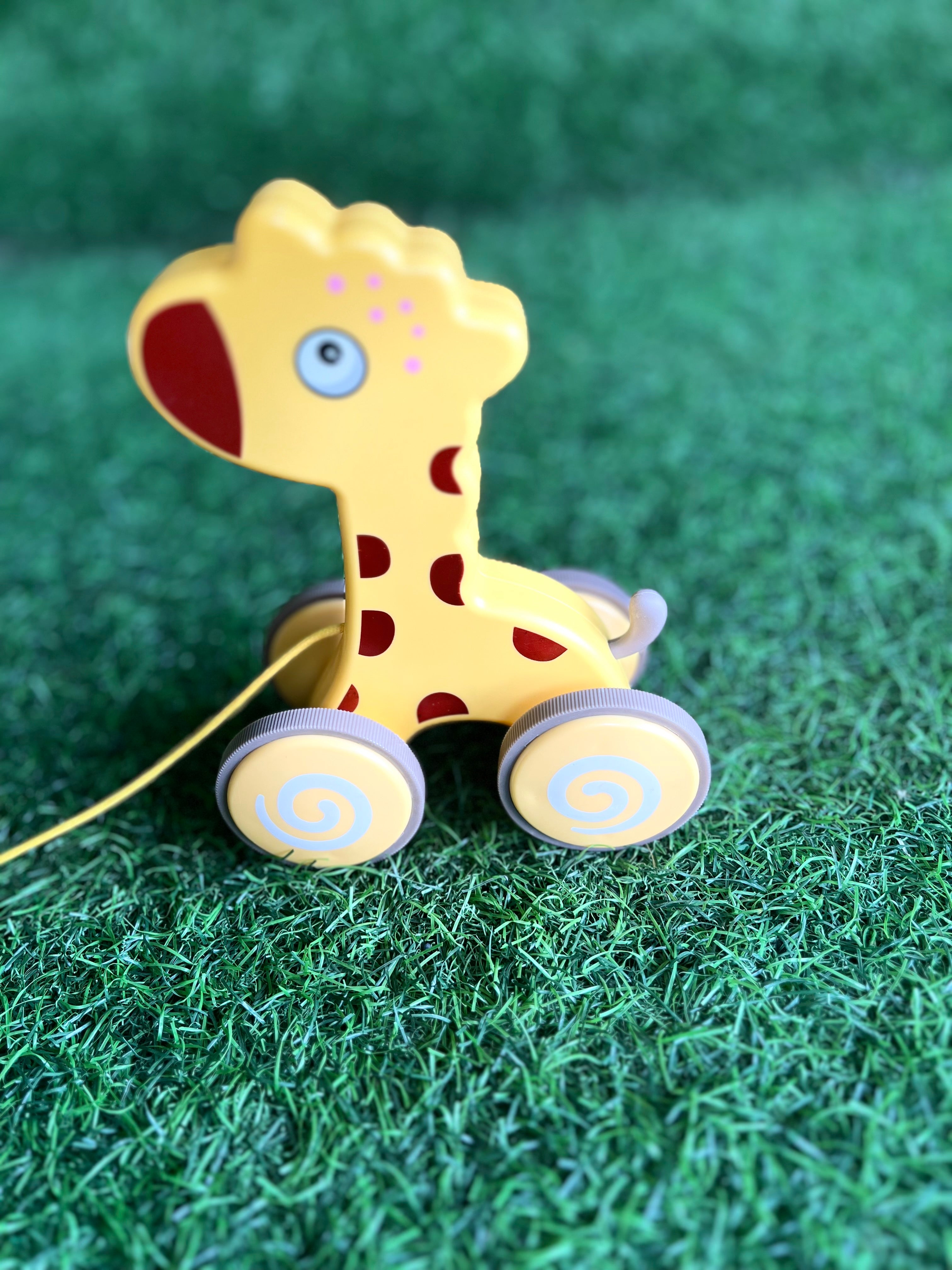 Animal Traction Pull Toy